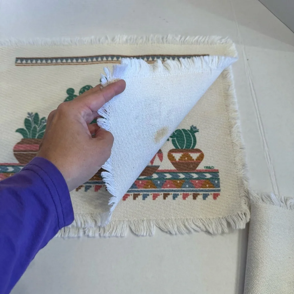 Cactus Southwest Style Set of 4  Table Placemats Plants Country Aztec Theme